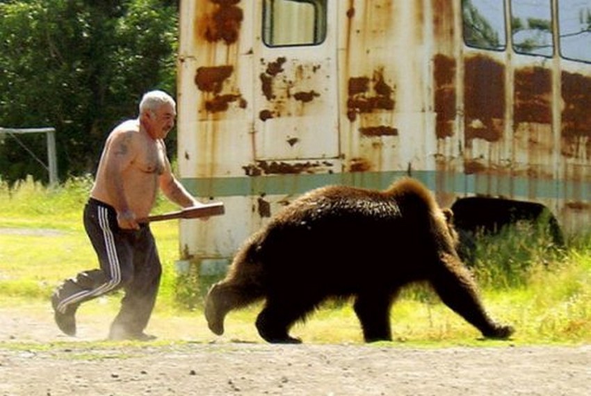 Jednak były nawet dwa niedźwiedzie. Mieszkańcy zrobili zdjęcia.